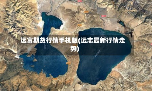 远富期货行情手机版(远志最新行情走势)-第3张图片