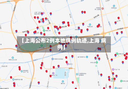 【上海公布2例本地病例轨迹,上海 病例】-第3张图片
