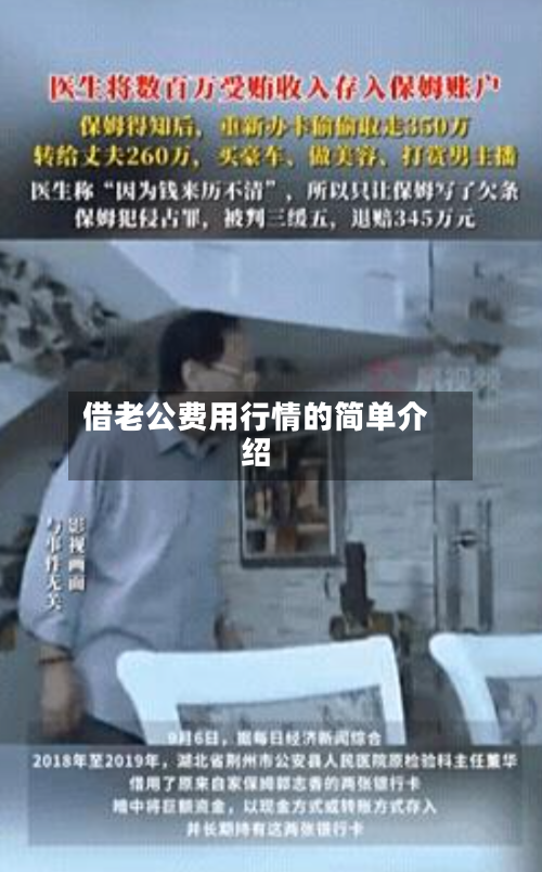 借老公费用行情的简单介绍