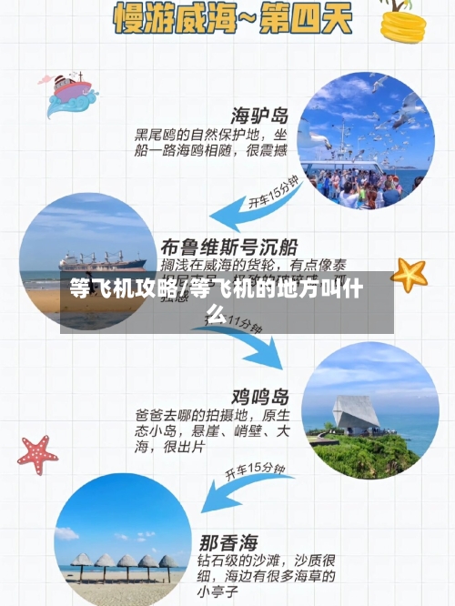 等飞机攻略/等飞机的地方叫什么-第3张图片