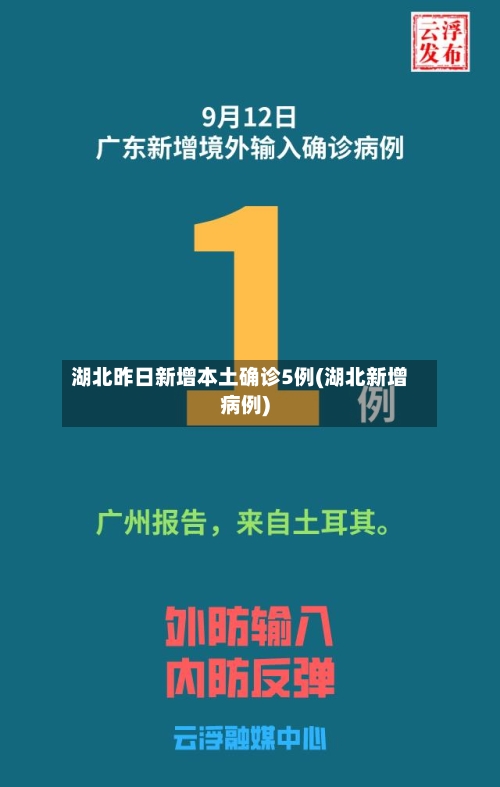 湖北昨日新增本土确诊5例(湖北新增病例)-第2张图片