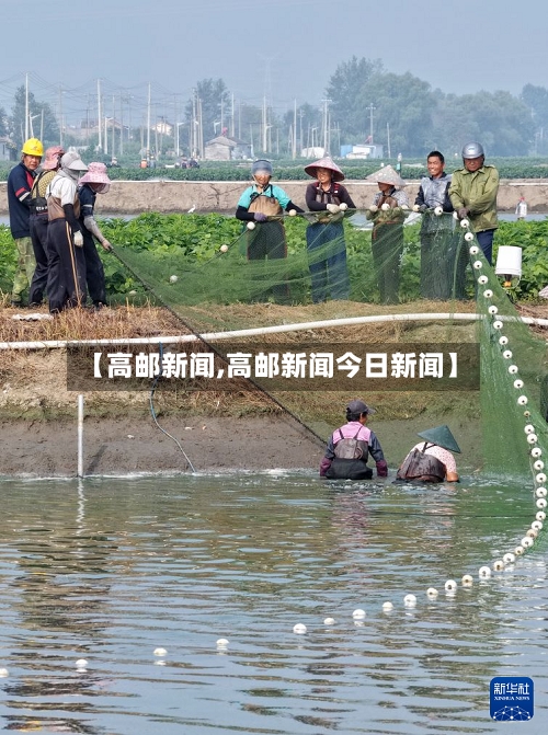 【高邮新闻,高邮新闻今日新闻】