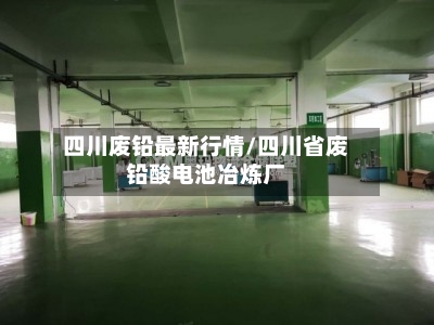四川废铅最新行情/四川省废铅酸电池冶炼厂-第2张图片