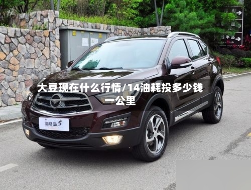 大豆现在什么行情/14油耗投多少钱一公里