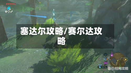 塞达尔攻略/赛尔达攻略-第3张图片