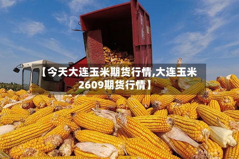 【今天大连玉米期货行情,大连玉米2609期货行情】-第2张图片