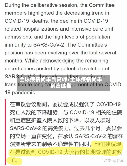 全球疫情尚未到高峰/全球疫情尚未到高峰期-第3张图片