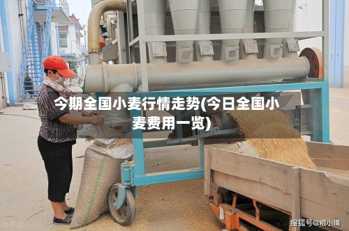 今期全国小麦行情走势(今日全国小麦费用一览)