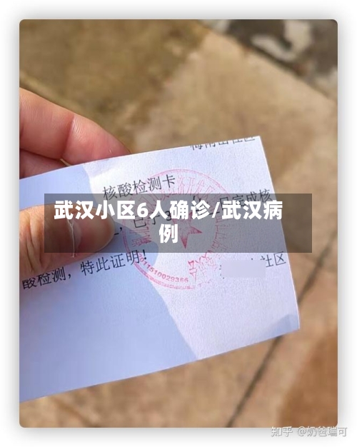 武汉小区6人确诊/武汉病例
