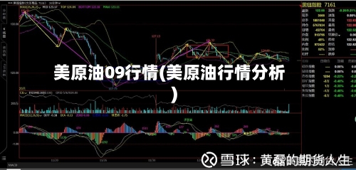 美原油09行情(美原油行情分析)