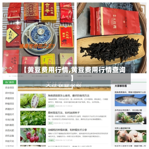 【黄豆费用行情,黄豆费用行情查询】