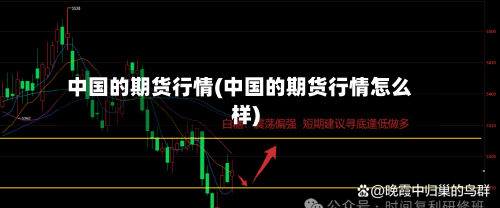 中国的期货行情(中国的期货行情怎么样)-第2张图片
