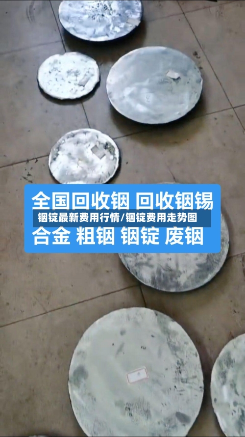 铟锭最新费用行情/铟锭费用走势图