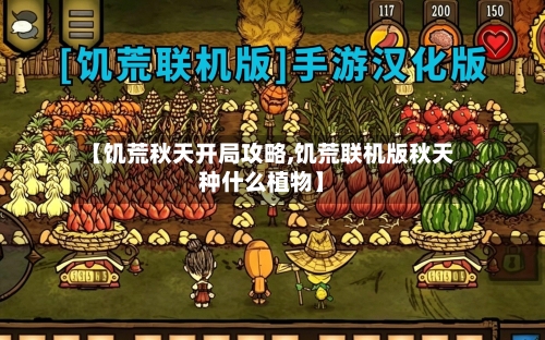 【饥荒秋天开局攻略,饥荒联机版秋天种什么植物】