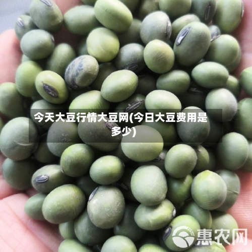 今天大豆行情大豆网(今日大豆费用是多少)