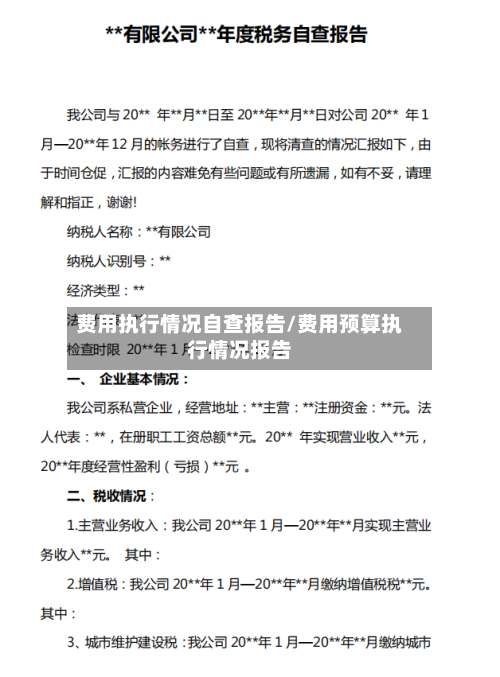 费用执行情况自查报告/费用预算执行情况报告-第2张图片