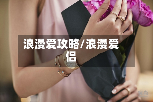 浪漫爱攻略/浪漫爱侣-第3张图片