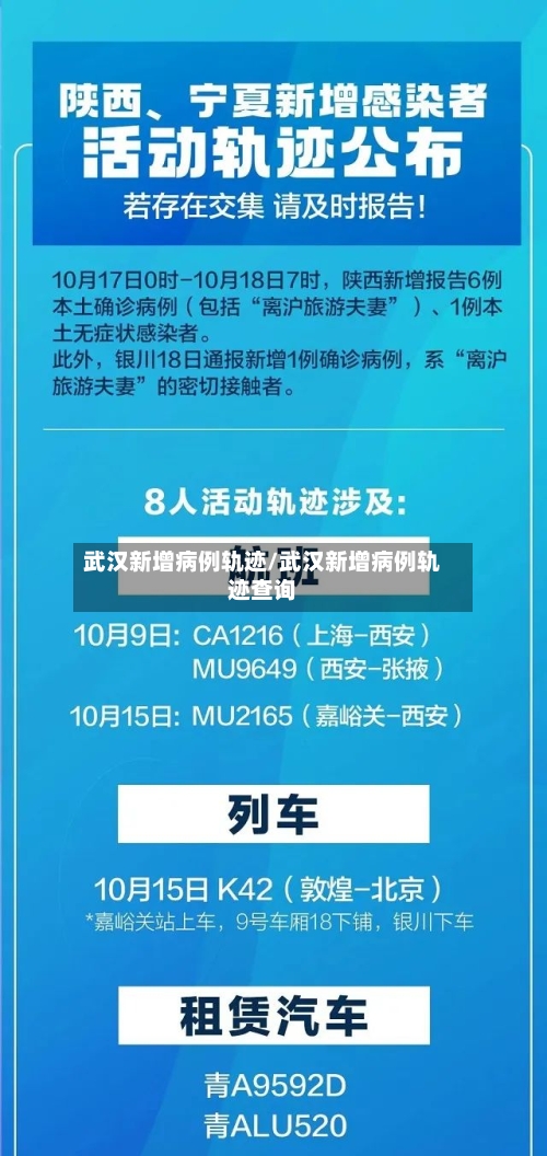 武汉新增病例轨迹/武汉新增病例轨迹查询