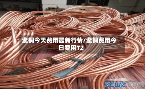 紫铜今天费用最新行情/紫铜费用今日费用T2-第2张图片