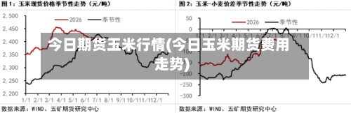 今日期货玉米行情(今日玉米期货费用走势)