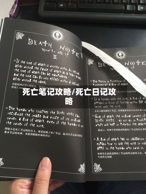 死亡笔记攻略/死亡日记攻略-第2张图片