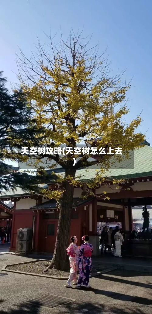 天空树攻略(天空树怎么上去)