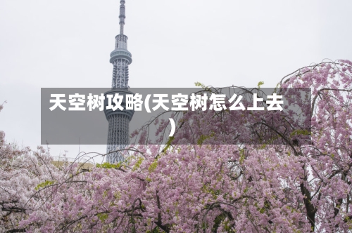 天空树攻略(天空树怎么上去)-第2张图片