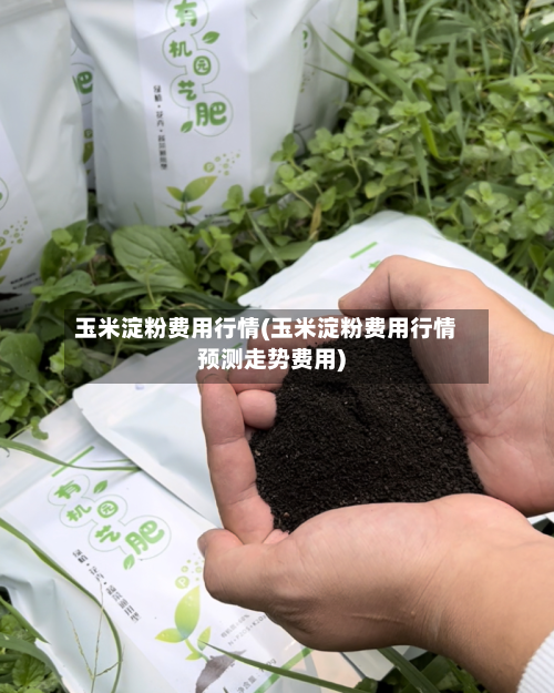 玉米淀粉费用行情(玉米淀粉费用行情预测走势费用)-第2张图片