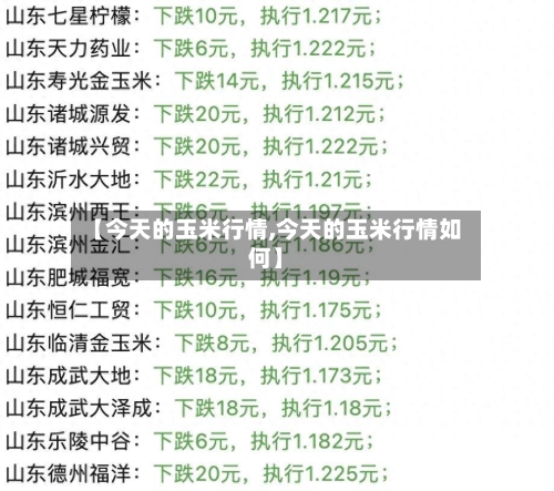 【今天的玉米行情,今天的玉米行情如何】-第3张图片