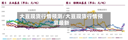 大豆现货行情预测/大豆现货行情预测最新-第2张图片