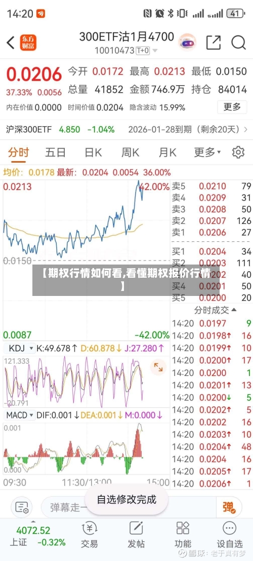 【期权行情如何看,看懂期权报价行情】