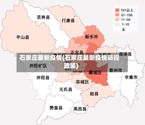 石家庄最新疫情(石家庄最新疫情防控政策)-第2张图片