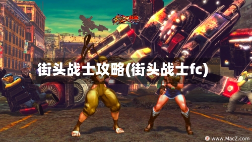 街头战士攻略(街头战士fc)