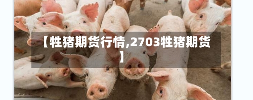 【牲猪期货行情,2703牲猪期货】