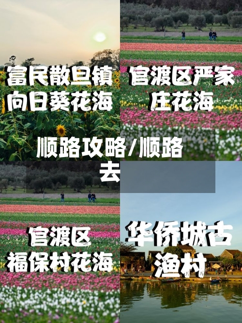 顺路攻略/顺路去-第2张图片