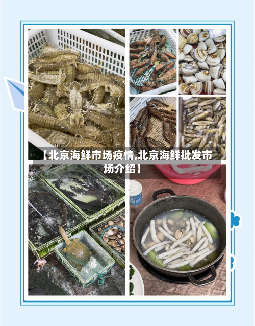 【北京海鲜市场疫情,北京海鲜批发市场介绍】-第2张图片