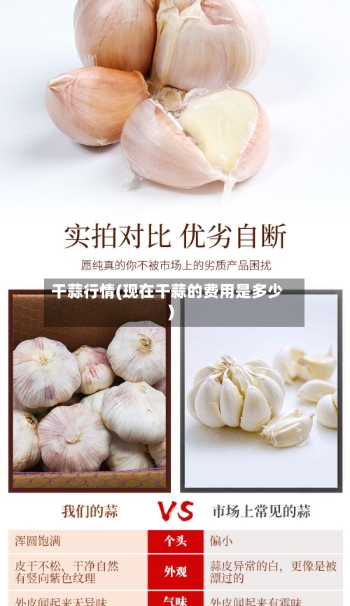 干蒜行情(现在干蒜的费用是多少)-第2张图片