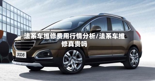 法系车维修费用行情分析/法系车维修真贵吗-第2张图片