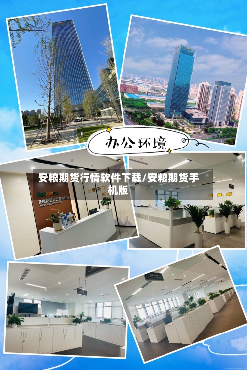安粮期货行情软件下载/安粮期货手机版-第3张图片