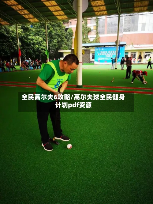 全民高尔夫6攻略/高尔夫球全民健身计划pdf资源-第2张图片
