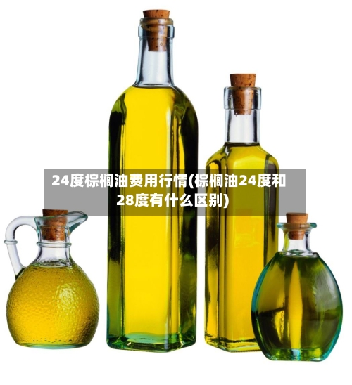 24度棕榈油费用行情(棕榈油24度和28度有什么区别)-第3张图片