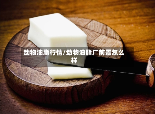 动物油脂行情/动物油脂厂前景怎么样