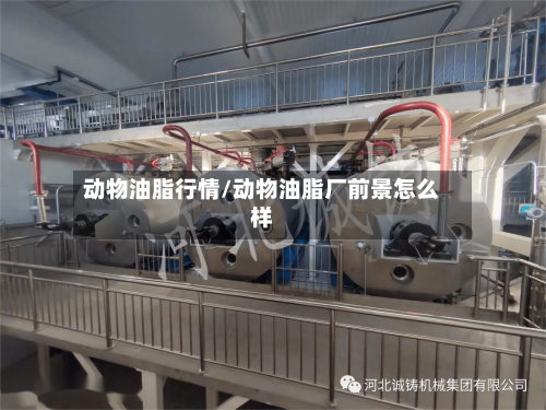 动物油脂行情/动物油脂厂前景怎么样-第2张图片