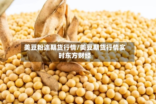美豆粉连期货行情/美豆期货行情实时东方财经