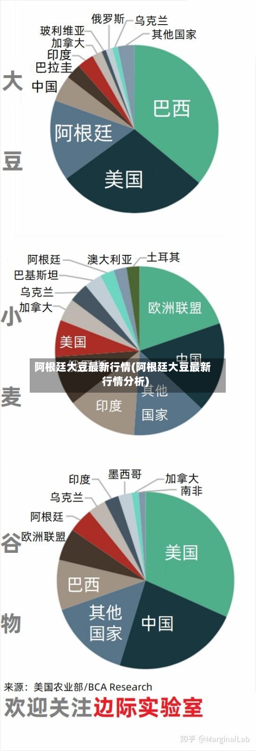 阿根廷大豆最新行情(阿根廷大豆最新行情分析)-第3张图片