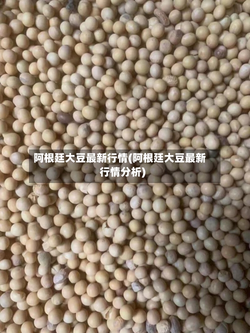阿根廷大豆最新行情(阿根廷大豆最新行情分析)-第2张图片