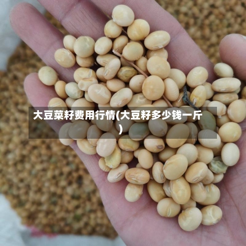大豆菜籽费用行情(大豆籽多少钱一斤)-第3张图片
