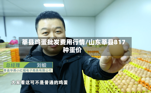 莘县鸡蛋批发费用行情/山东莘县817种蛋价