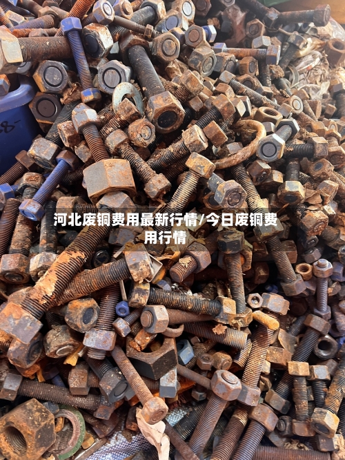 河北废铜费用最新行情/今日废铜费用行情