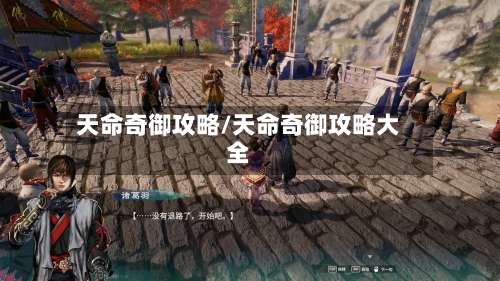 天命奇御攻略/天命奇御攻略大全-第2张图片
